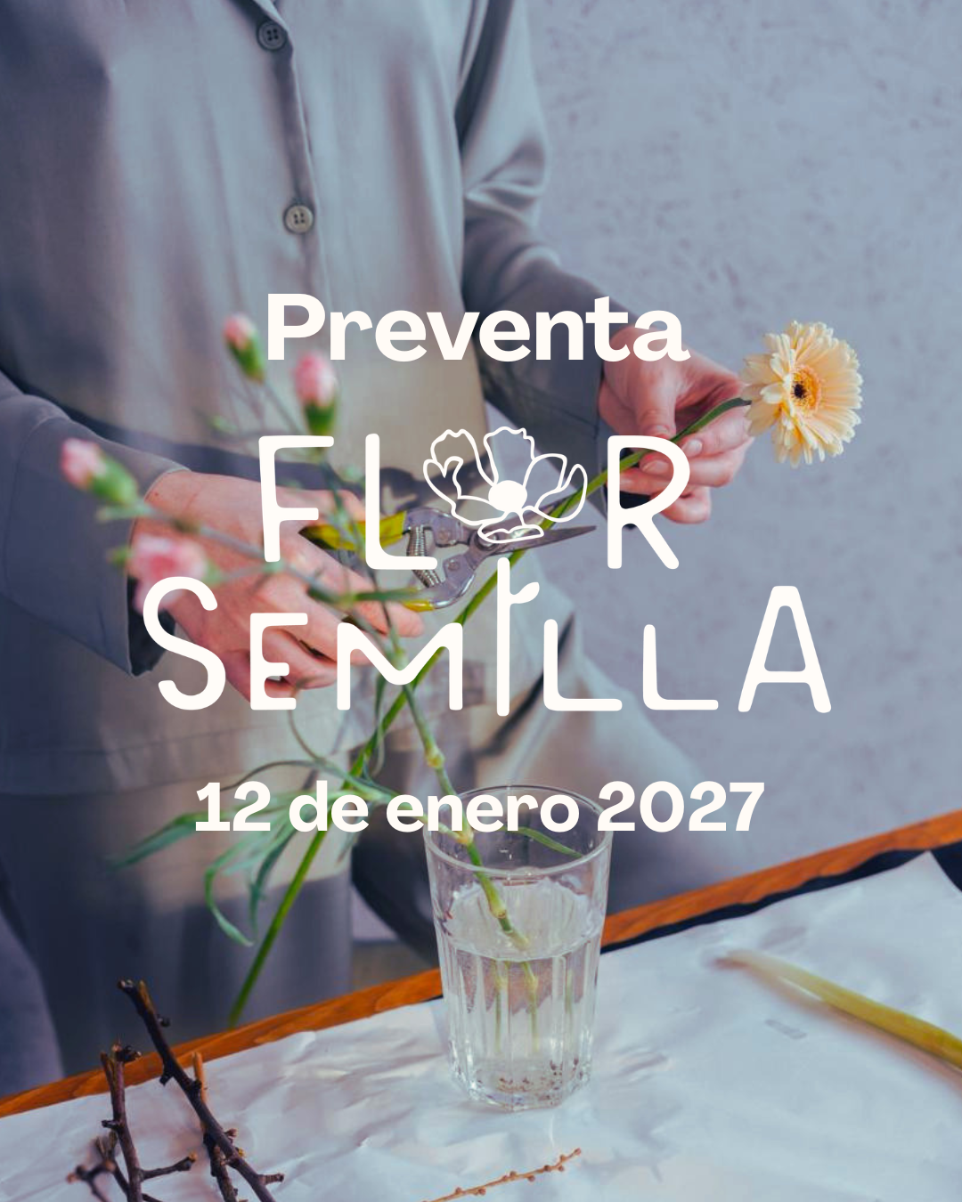 Preventa Flor Semilla 2027